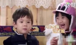 娱乐圈八卦吃瓜解说视频,吃瓜视频背后的明星秘闻大揭秘